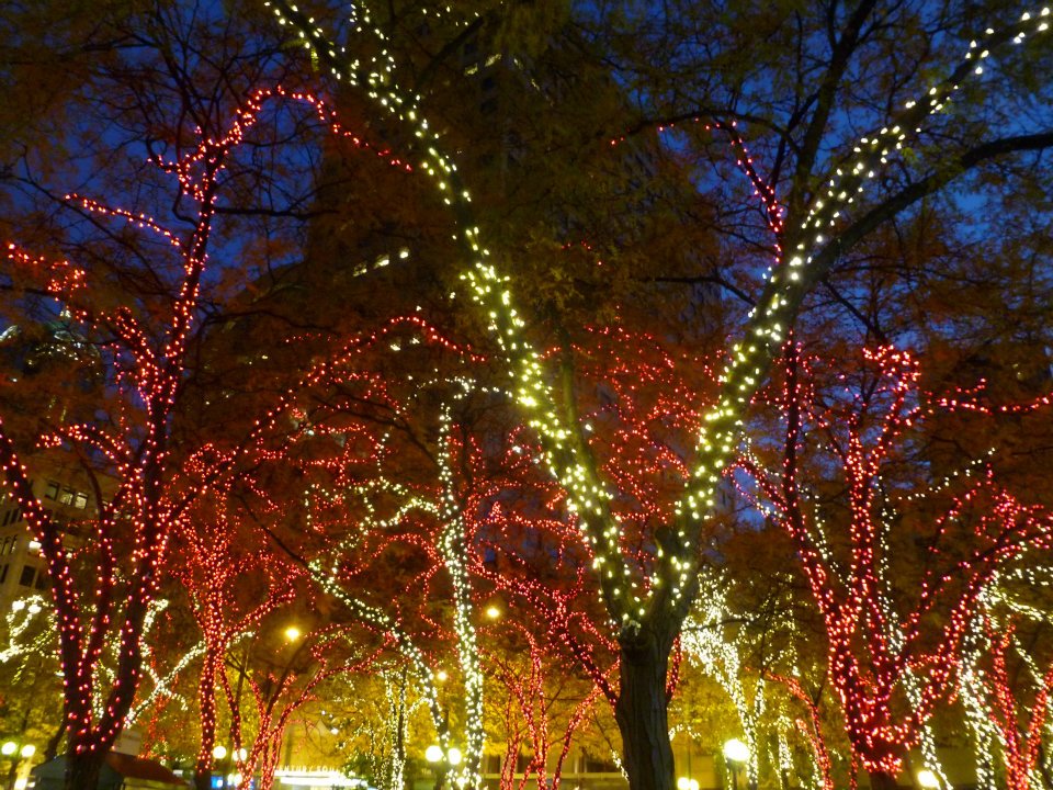 Seattle Christmas Lights
